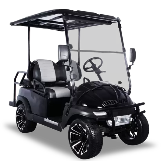 Hisun ACE NV Golf Cart
