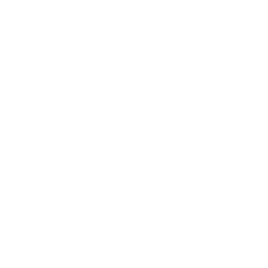 ATV Services